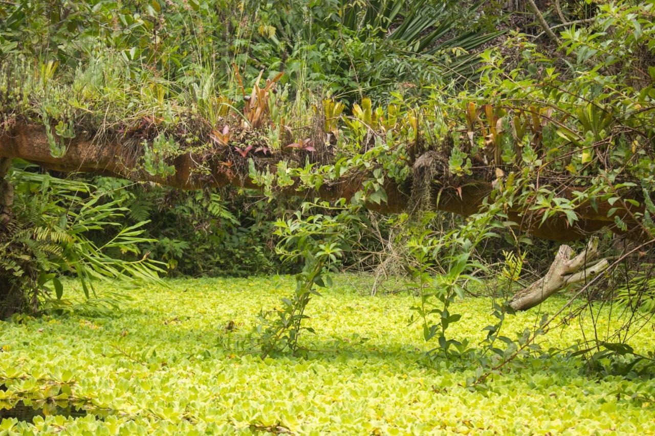 Pousada Flor De Acucena إيغاتو المظهر الخارجي الصورة